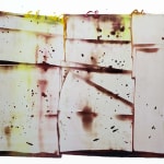 Sarah Irvin, Assumption, 2016