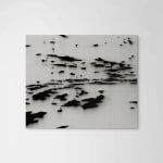 Dragana Crnjak, Untitled (Spaces Silver), 2013