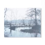 Peter Cochrane, The Alchemist’s Garden - Lead