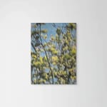 Alex Schuchard, Untitled Landscape, 2024
