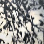 Alex Schuchard, Untitled Landscape, 2024
