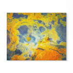 Peter Cochrane, The Alchemist’s Garden - Lead