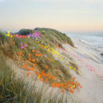 Thomas Jackson, Glow Sticks no. 1, 2012