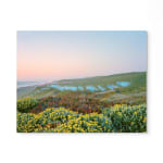 Thomas Jackson, Glow Sticks no. 1, 2012