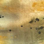 Clark Derbes, Time Machine (Bandscape), 2020