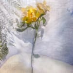 David Douglas, Invented Landscape at Kanawha Canal Pumphouse, 2025