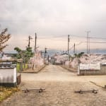 William Wylie, Shikoku 23-56, 2024