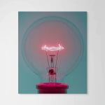 Amanda Means, Light Bulb 8B, 1998-2000