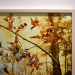 Sarah Boyts Yoder, Vessel in Shadow, 2025