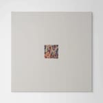 Merrin Winkel, Light Reflections on the Infinite Path, 2023
