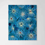 Mac Ball, Dying Of The Day, Autumn, Hollywood Rapids, 2024