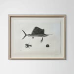 Stanley Whitney, Untitled, 2019