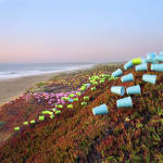 Thomas Jackson, Glow Sticks no. 1, 2012