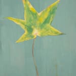 Kazaan Viveiros, American Sycamore
