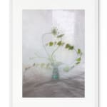 Pam Fox, Wide Cup, 2018