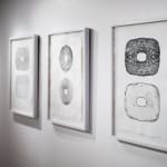 Steve Bickley, Silver Ash, 2025