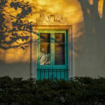 Riley Goodman, Forever At The Windows , 2021