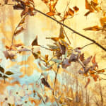 Sarah Boyts Yoder, Vessel in Shadow, 2025