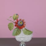 David Douglas, Invented Landscape at Kanawha Canal Pumphouse, 2025