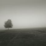 David Hillegas, Uniform