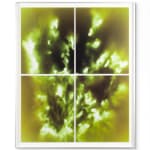 Peter Cochrane, The Alchemist’s Garden - Lead