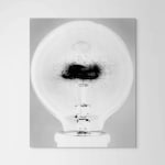Amanda Means, Light Bulb 8B, 1998-2000