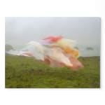 Thomas Jackson, Glow Sticks no. 1, 2012