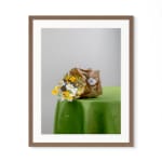 David Douglas, Invented Landscape at Kanawha Canal Pumphouse, 2025