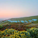 Thomas Jackson, Glow Sticks no. 1, 2012