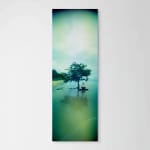 Merrin Winkel, Light Reflections on the Infinite Path, 2023