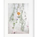 David Douglas, Invented Landscape at Kanawha Canal Pumphouse, 2025