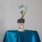 David Douglas, Invented Landscape at Kanawha Canal Pumphouse, 2025