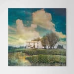 David Douglas, Strolling at Mount Vernon, 2022