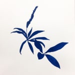 Sarah Mizer, Penland, Blue #2, 2016