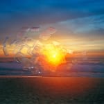 Thomas Jackson, Glow Sticks no. 1, 2012