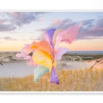 Amanda Means, Light Bulb 29, 2024