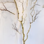 Steve Bickley, Silver Ash, 2025