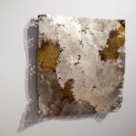 Steve Bickley, Silver Ash, 2025