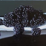 Tim O'Kane, Summer Tomatoes, 2013