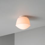 A-N-D, Vine 5 - Ceiling