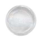 Giopato & Coombes, Scarabei Pendant 04