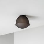 A-N-D, Vine 5 - Ceiling