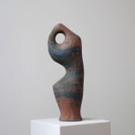 Abid Javed, P6 Pleomorph