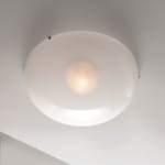 A-N-D, Vine 5 - Ceiling
