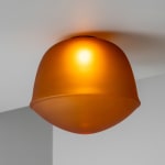 A-N-D, Vine 5 - Ceiling