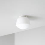A-N-D, Vine 5 - Ceiling