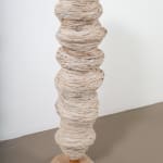 Betül Kotil, Nature, 2024