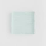 Lucas Recchia, Morfa nº 01 , 2025