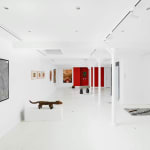 Exposition Radiacantes/ Paris