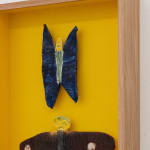 Sune Christiansen, Eksemplarer (dag)/Specimens (day), 2025